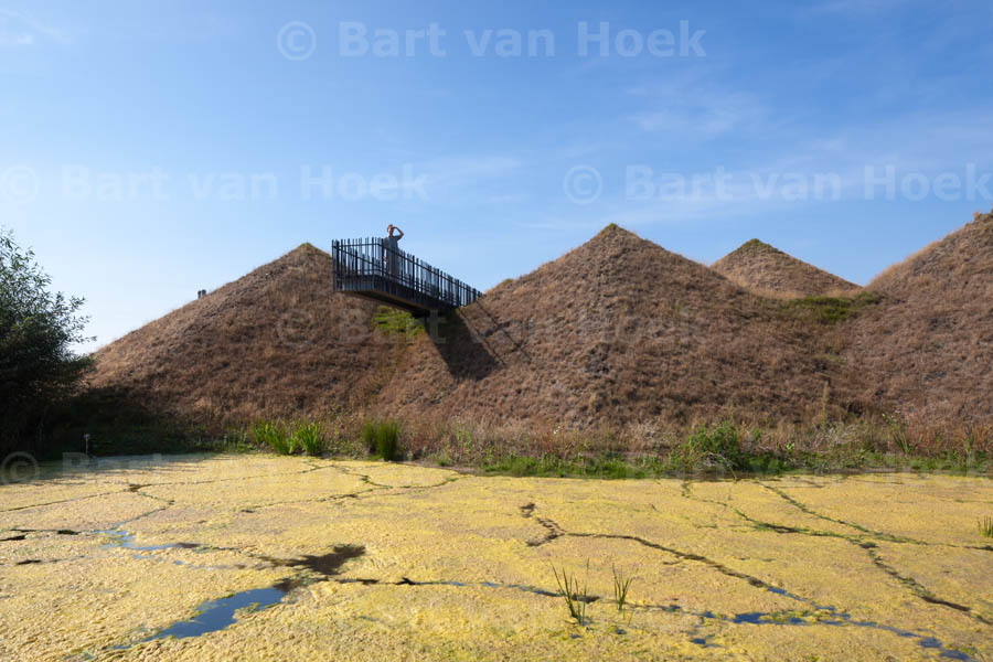 Biesbosch Museum (4/4), foto Bart van Hoek