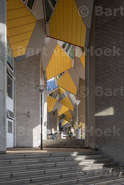 Blaakse Bos (2/2), foto Bart van Hoek