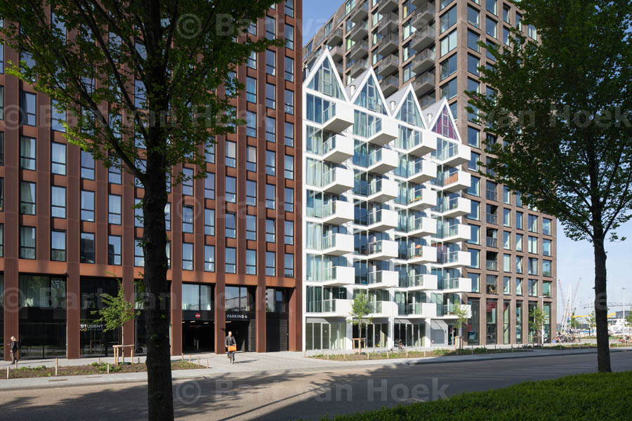 De Werf (5/15), foto Bart van Hoek