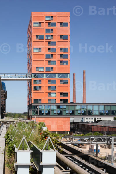 Haasje Over (2/8), foto Bart van Hoek