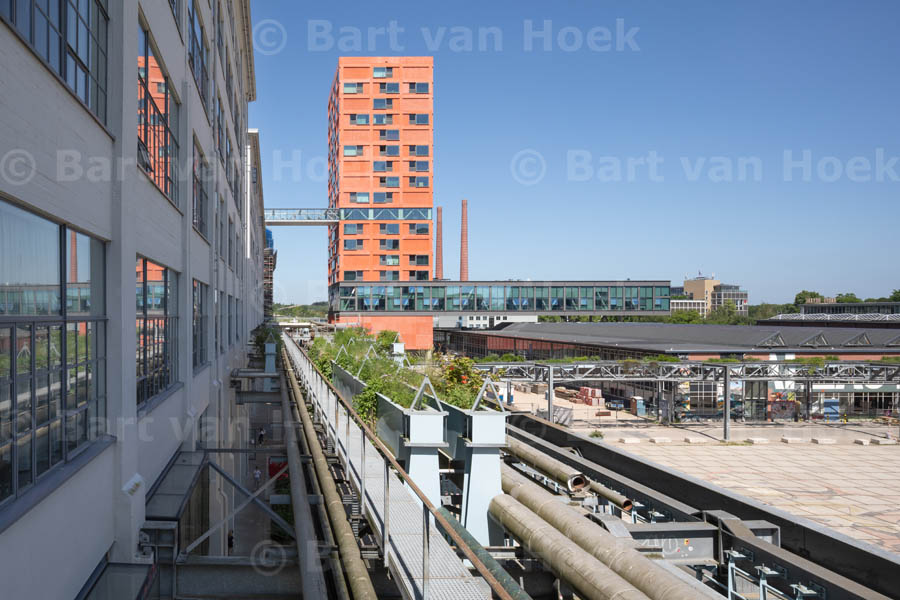 Haasje Over (1/8), foto Bart van Hoek