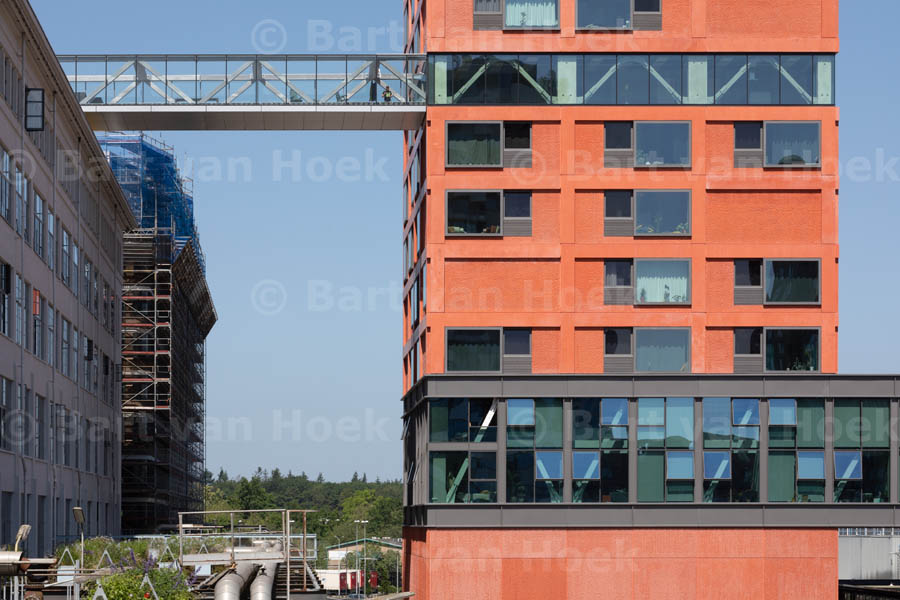 Haasje Over (3/8), foto Bart van Hoek