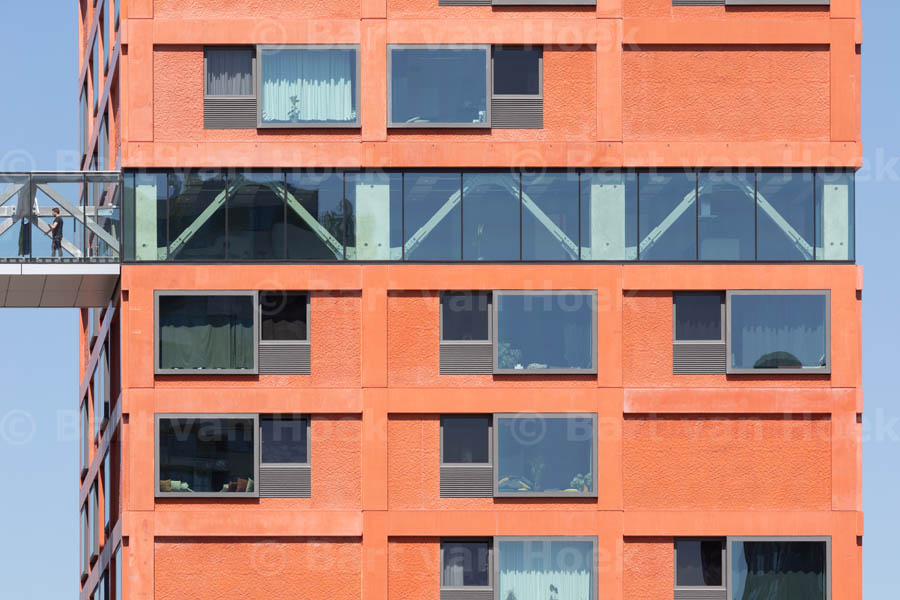 Haasje Over (4/8), foto Bart van Hoek