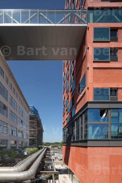 Haasje Over (5/8), foto Bart van Hoek