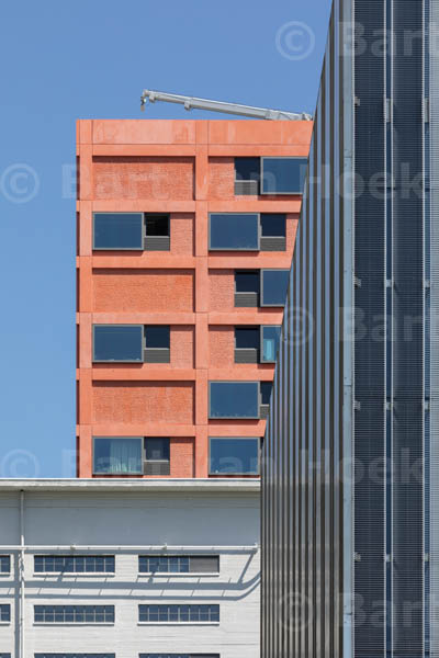 Haasje Over (8/8), foto Bart van Hoek