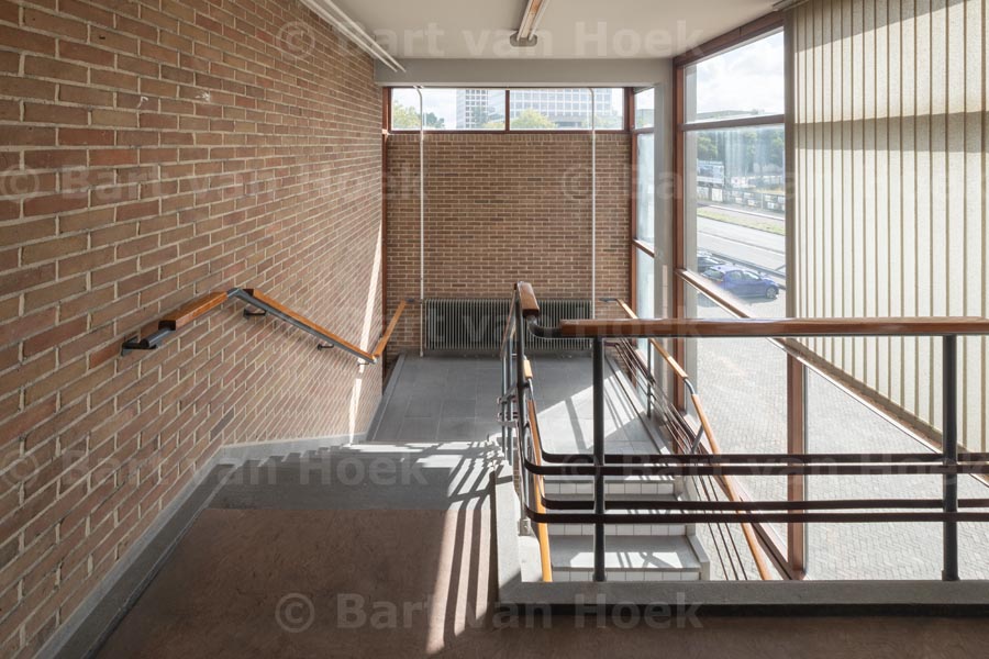 Citrusveiling (10/15), foto Bart van Hoek