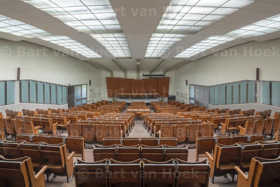 Citrusveiling (12/15), foto Bart van Hoek