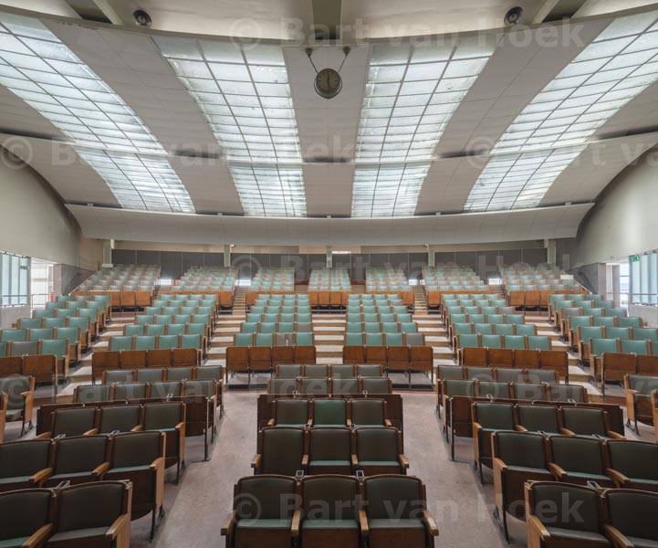 Citrusveiling (13/15), foto Bart van Hoek