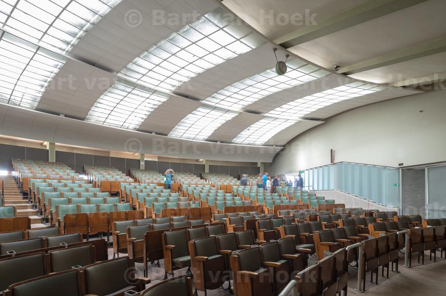Citrusveiling (14/15), foto Bart van Hoek