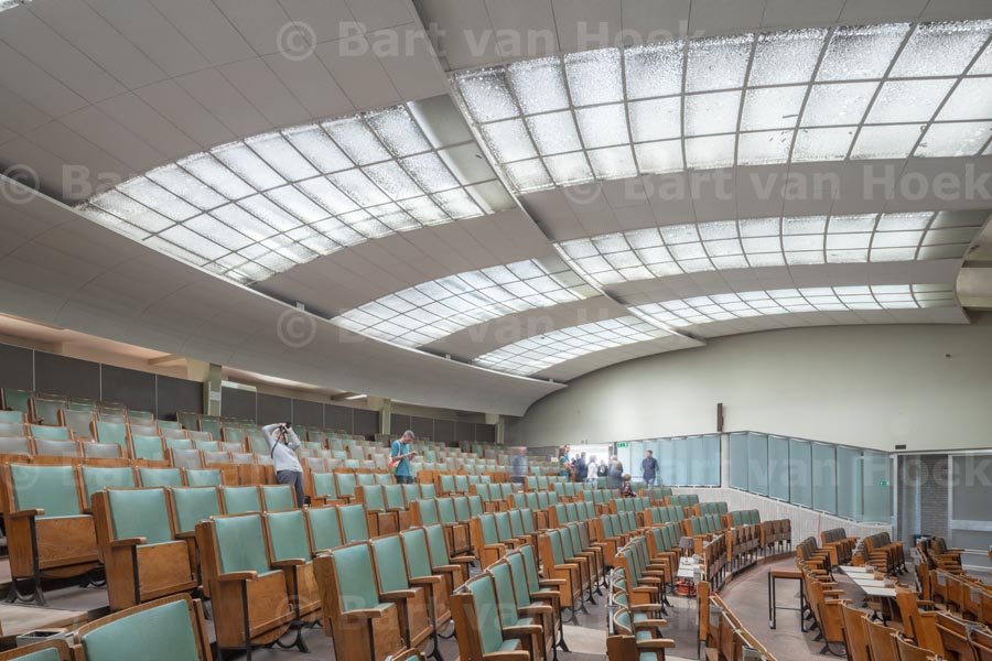 Citrusveiling (15/15), foto Bart van Hoek