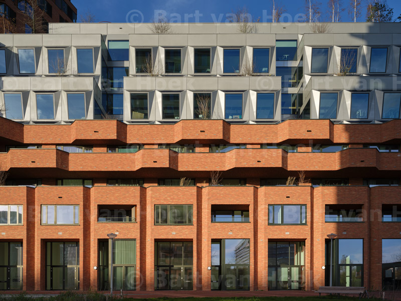 De Puls (4/5), foto Bart van Hoek