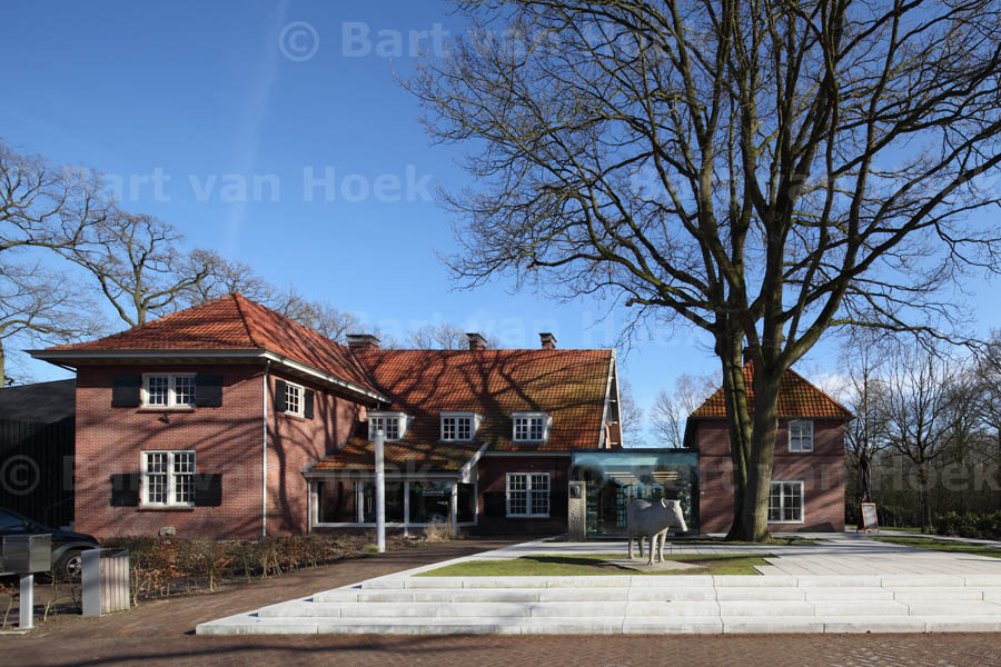 Natura Docet (2/3), foto Bart van Hoek